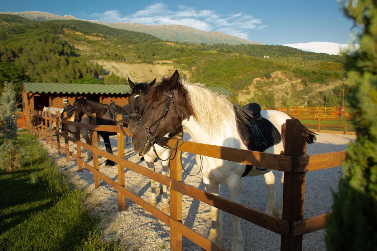 Sancho Farm Albania Villa Memaliaj Bagian luar foto