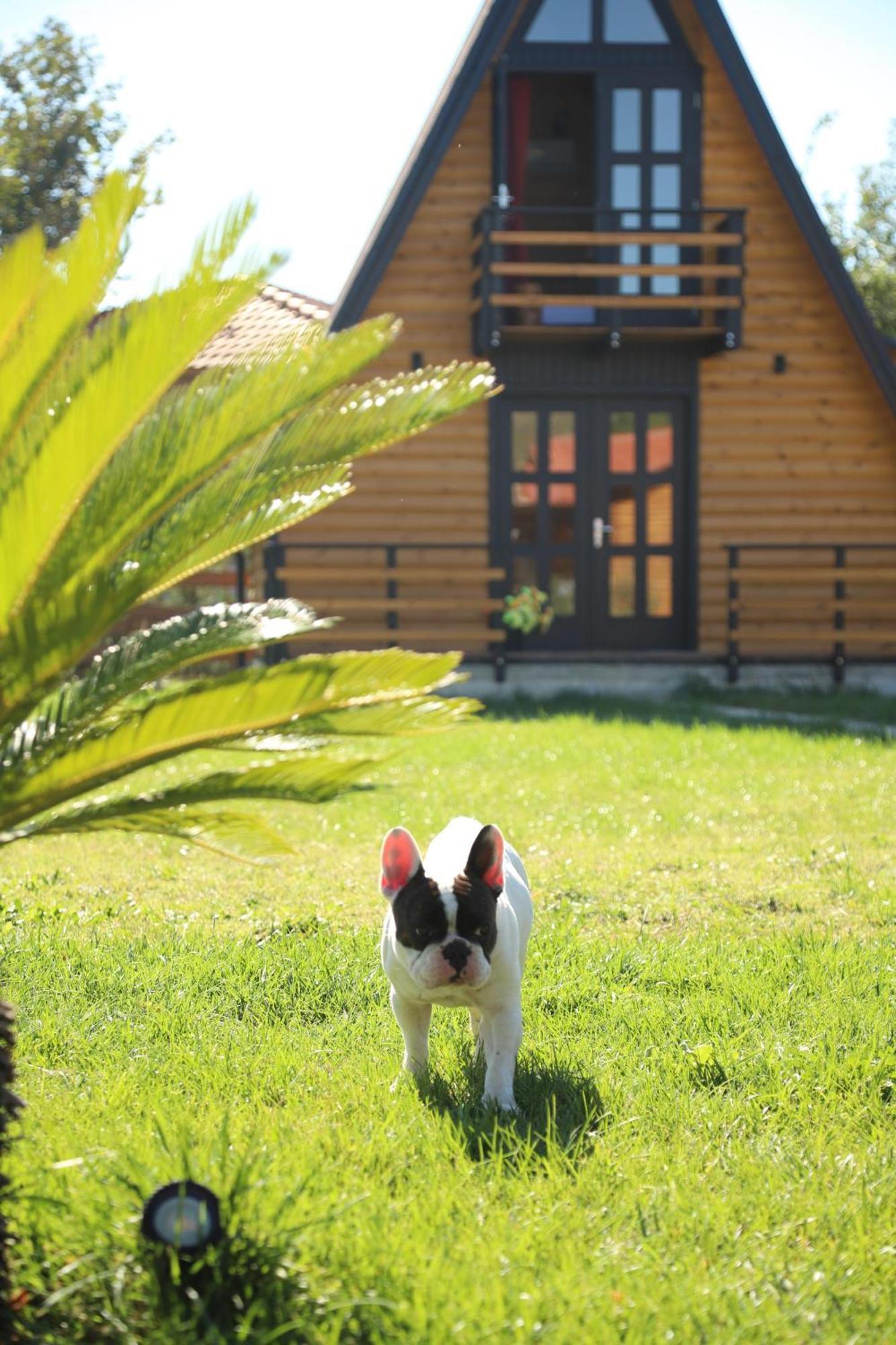 Sancho Farm Albania Villa Memaliaj Bagian luar foto