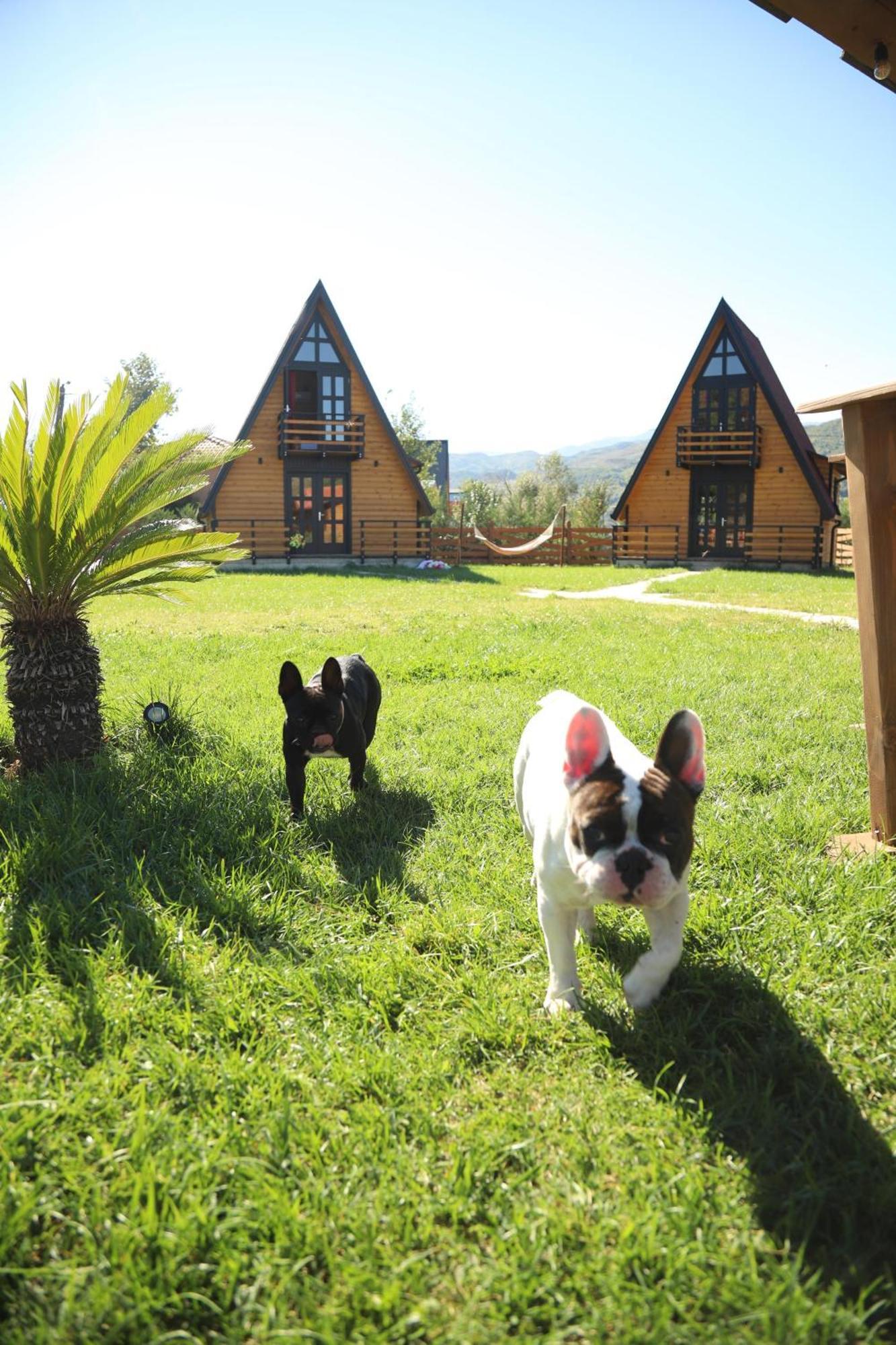 Sancho Farm Albania Villa Memaliaj Bagian luar foto