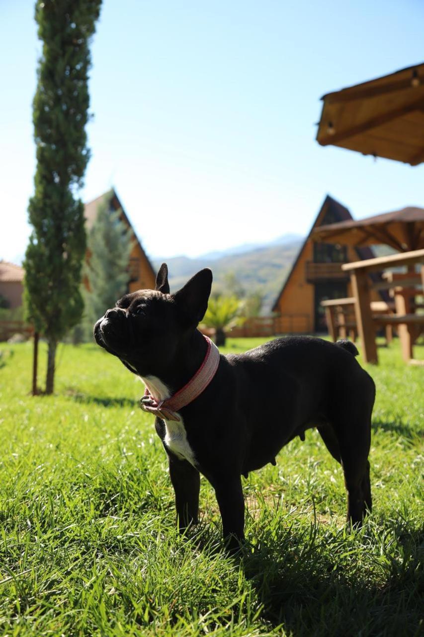 Sancho Farm Albania Villa Memaliaj Bagian luar foto